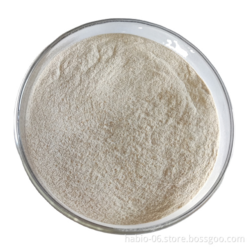 High-Quality Lipase Enzyme (CAS 9001-62-1) - Bulk Powder Supplier